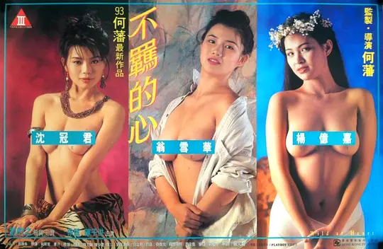 不羁的心1993